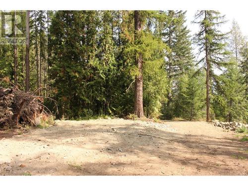 2640 3B Highway, Rossland, BC 