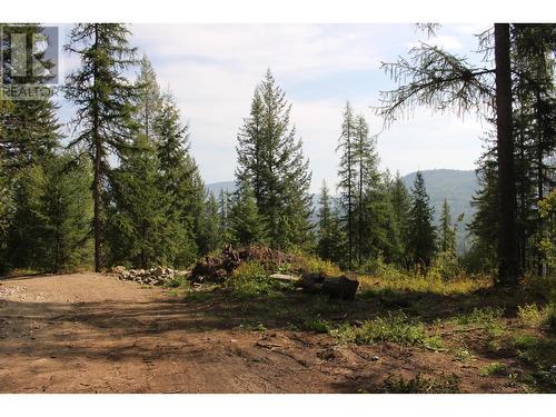 2640 3B Highway, Rossland, BC 