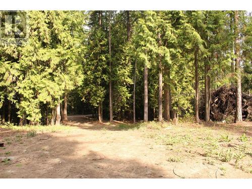 2640 3B Highway, Rossland, BC 