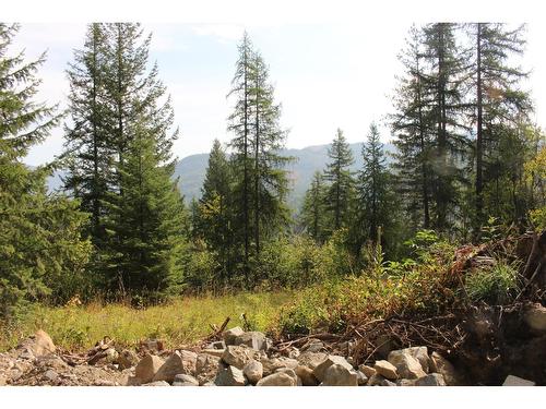 2640 Highway 3B, Rossland, BC 