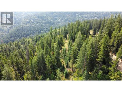 2640 3B Highway, Rossland, BC 