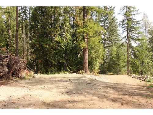 2640 Highway 3B, Rossland, BC 