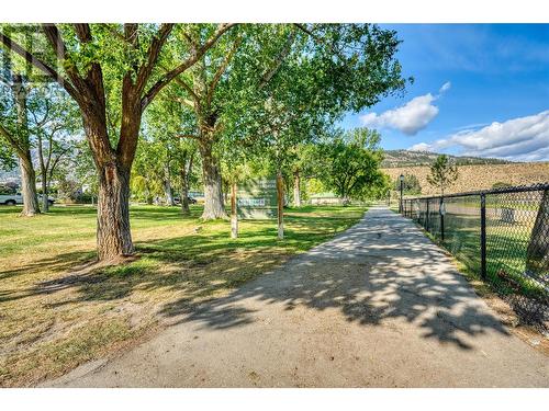 1149 Maple Street, Okanagan Falls, BC - Outdoor With View