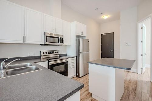 85 Morrell Street|Unit #204B, Brantford, ON - Indoor Photo Showing Kitchen With Double Sink