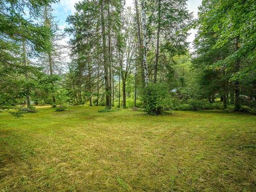 Land/Lot - Route 329, Saint-Donat, QC 