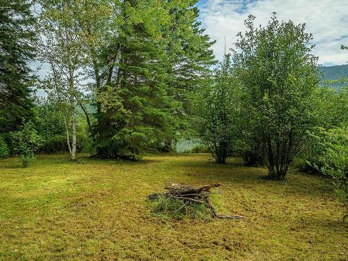 Land/Lot - Route 329, Saint-Donat, QC 