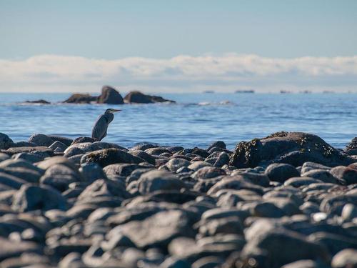 1049 Sixth Ave, Ucluelet, BC 