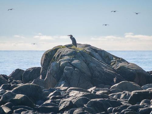 1049 Sixth Ave, Ucluelet, BC 