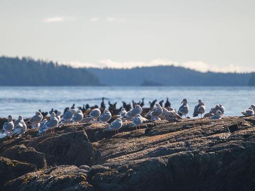 1049 Sixth Ave, Ucluelet, BC 