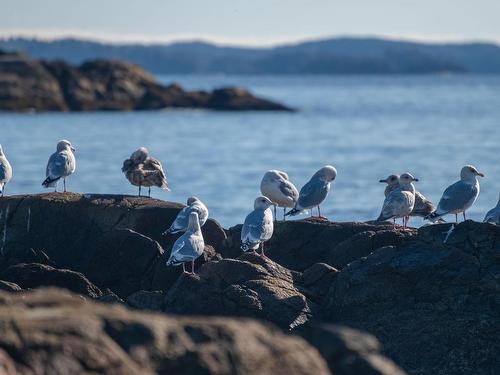 1049 Sixth Ave, Ucluelet, BC 