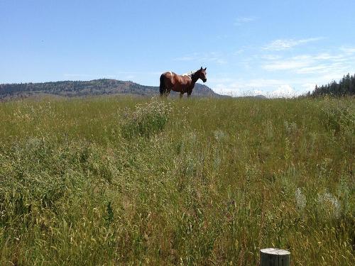 5657 Beaton Road, Kamloops, BC - Outdoor With View