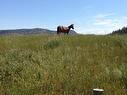 5657 Beaton Road, Kamloops, BC  - Outdoor With View 