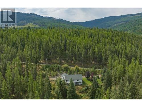 209 Horner Road, Lumby, BC - Outdoor With View