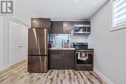 Kitchen- Lower Level - 2930 Petty Road, London, ON - Indoor Photo Showing Kitchen