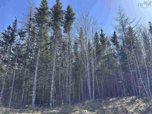 Lot 16 - Lower River Road, Grantville, NS 