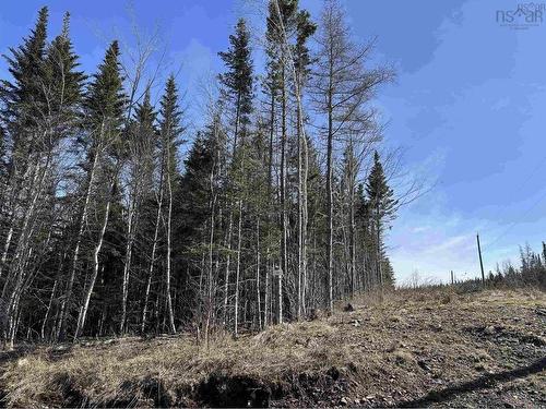 Lot 16 - Lower River Road, Grantville, NS 