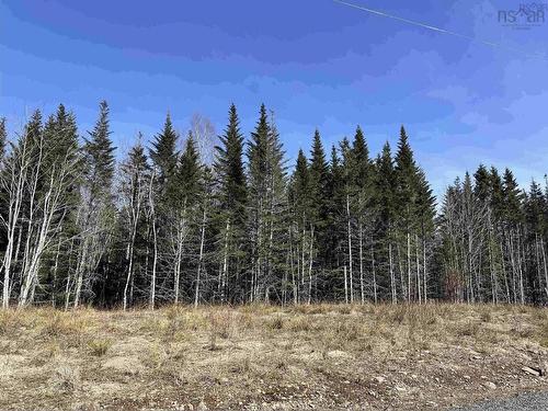 Lot 16 - Lower River Road, Grantville, NS 