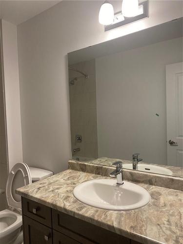 9 Bellhouse Avenue, Brantford, ON - Indoor Photo Showing Bathroom