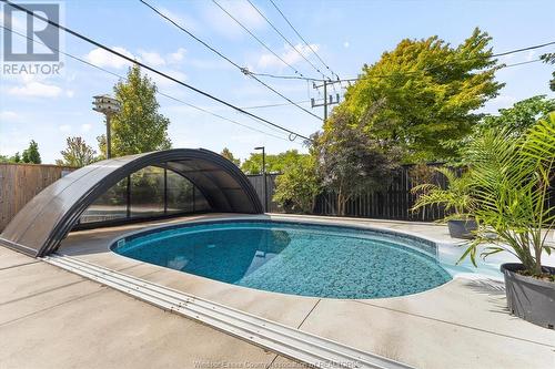 165 Park Street, Amherstburg, ON - Outdoor With In Ground Pool