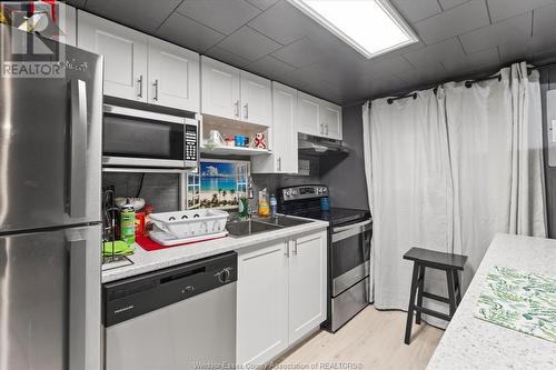 165 Park Street, Amherstburg, ON - Indoor Photo Showing Kitchen With Double Sink