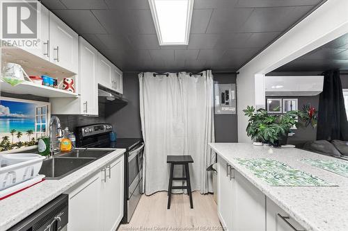 165 Park Street, Amherstburg, ON - Indoor Photo Showing Kitchen With Double Sink With Upgraded Kitchen