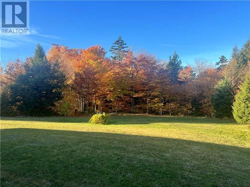 150 Saffron, Irishtown, NB - Outdoor