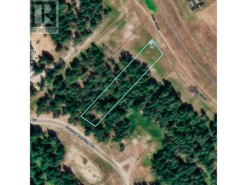 Lot 3 Osprey Landing Drive, Wardner, BC 