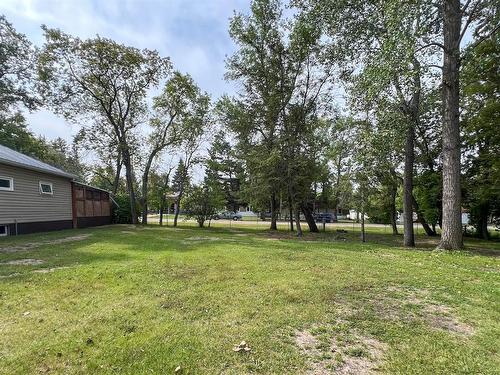 336 Veterans-Assinaboine Street W, Oak Lake, MB - Outdoor