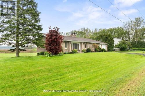 31 Dorthy Drive, Quinte West, ON - Outdoor