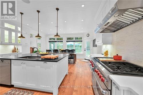 98 Dorchester Drive, Grimsby, ON - Indoor Photo Showing Kitchen With Double Sink With Upgraded Kitchen