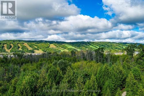 406 - 16 Beckwith Lane W, Blue Mountains, ON - Outdoor With View