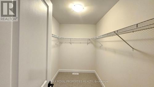 246 O'Neil Street, Peterborough, ON - Indoor With Storage