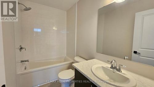 246 O'Neil Street, Peterborough, ON - Indoor Photo Showing Bathroom