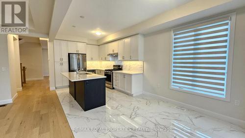 246 O'Neil Street, Peterborough, ON - Indoor Photo Showing Kitchen With Double Sink