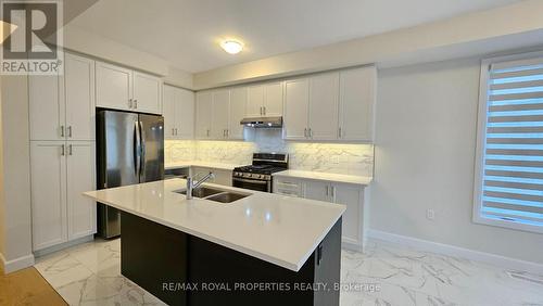 246 O'Neil Street, Peterborough, ON - Indoor Photo Showing Kitchen With Stainless Steel Kitchen With Double Sink