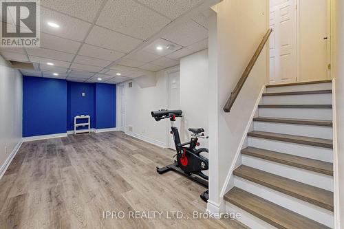 78 Cedarville Drive, Hamilton (Stoney Creek Mountain), ON - Indoor Photo Showing Gym Room