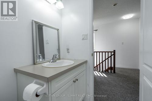 103 John Street, Halton Hills, ON - Indoor Photo Showing Bathroom