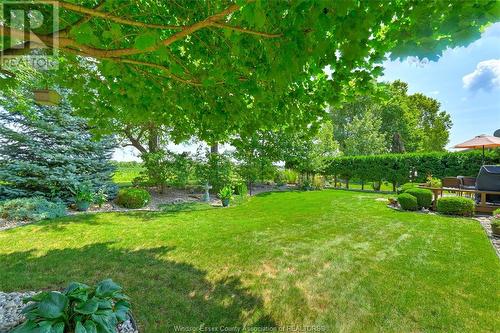 29 Golfview Drive, Kingsville, ON - Outdoor