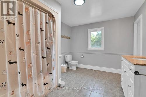 3993 Chapel Road, South Glengarry, ON - Indoor Photo Showing Bathroom