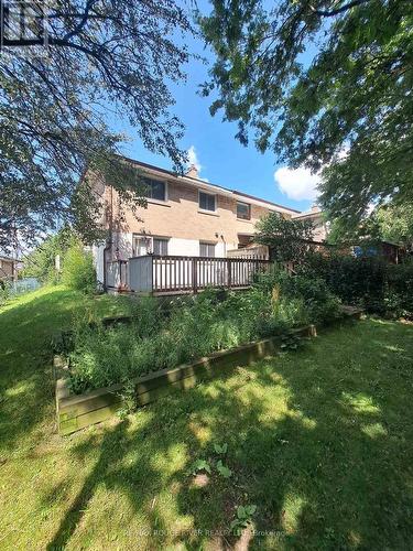 67 Wintergreen Road, Toronto (Downsview-Roding-Cfb), ON - Outdoor