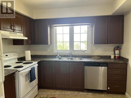 B10 - 155 Highland Crescent, Kitchener, ON - Indoor Photo Showing Kitchen With Double Sink