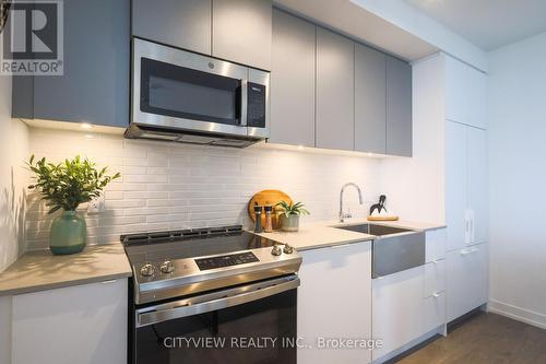 Lph14 - 270 Dufferin Street, Toronto (South Parkdale), ON - Indoor Photo Showing Kitchen With Upgraded Kitchen