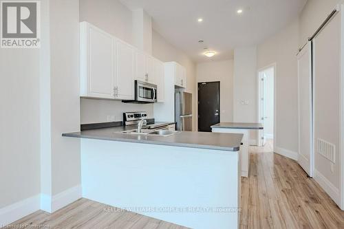 204B - 85 Morrell Street, Brantford, ON - Indoor Photo Showing Kitchen With Double Sink