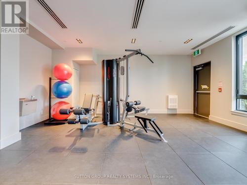 108 - 1440 Clarriage Court, Milton (Ford), ON - Indoor Photo Showing Gym Room