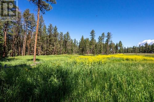 6198  3/93 Highway, Cranbrook, BC - Outdoor With View