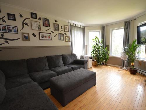 Salon - 20 Ch. Du Plateau, Mont-Tremblant, QC - Indoor Photo Showing Living Room