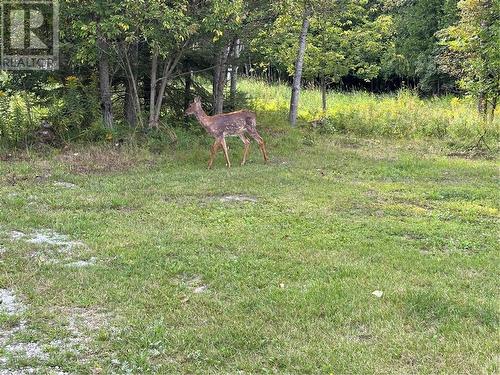 6 Wright Street N, Gore Bay, ON - Outdoor