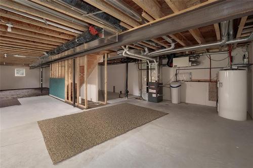 6 Parkside Place, Steinbach, MB - Indoor Photo Showing Basement