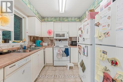 139 Whitney Avenue, Hamilton (Ainslie Wood), ON - Indoor Photo Showing Kitchen With Double Sink