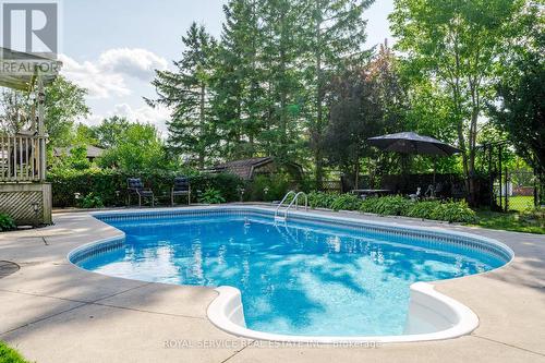 613 Christopher Road, Peterborough (Ashburnham), ON - Outdoor With In Ground Pool With Deck Patio Veranda With Backyard